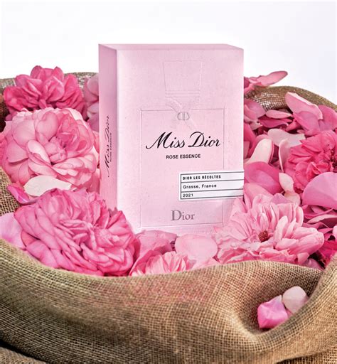 miss dior rose essence 100ml|what does Miss Dior perfume smell like.